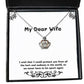 nice wife i wish that i could protect you from all the hurt and sadness in the world so we wife crown pendant necklace from husband
