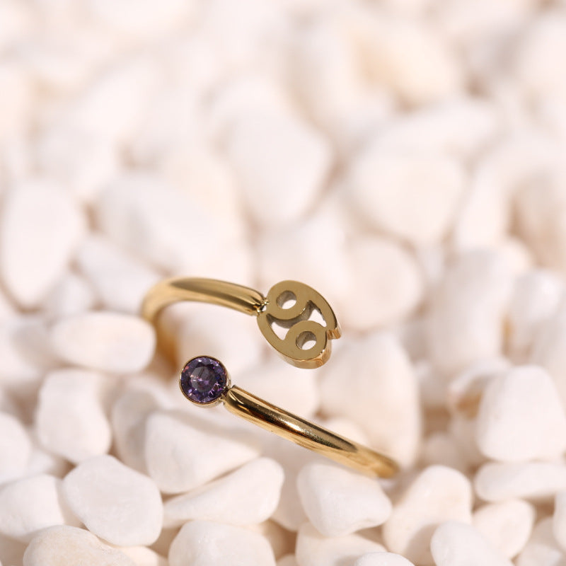 Zodiac Birthstone Ring, Adjustable Open Ring for Women, 18K Gold Plated, Zircon Inlaid, 12 Constellations, Unique Gift