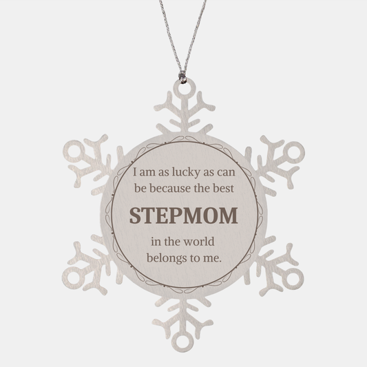 stepmom snowflake ornament the worlds best stepmom unique christmas gift for stepmom to show appreciation and love