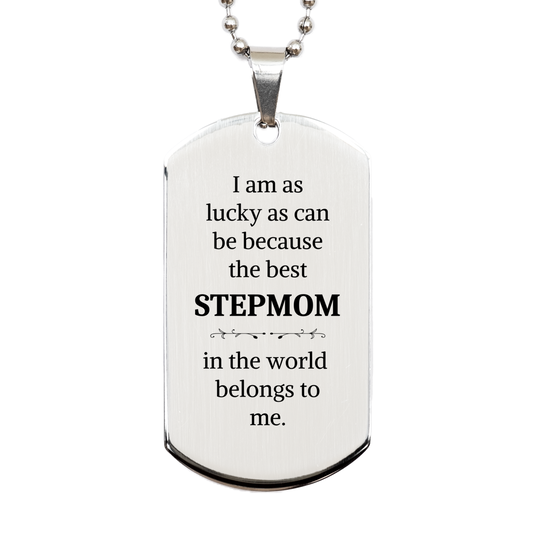 stepmom silver dog tag best stepmom in the world engraved gift for mothers day birthday christmas special unique inspirational meaningful token of love for stepmom