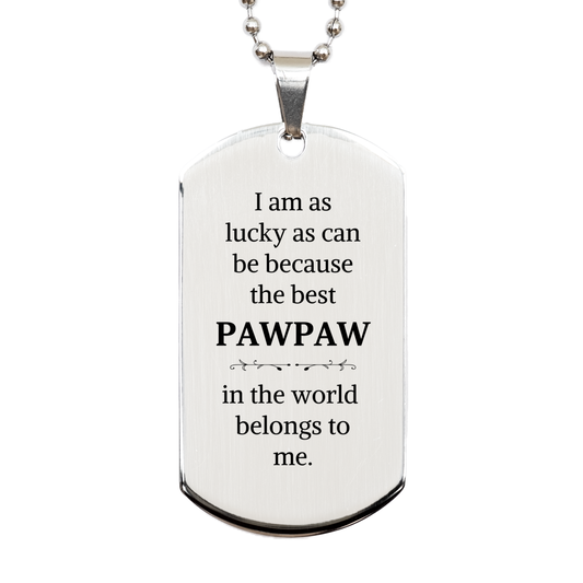 engraved silver dog tag pawpaw gift for birthday veterans day family bond confidence keepsake military necklace thank you for being the best pawpaw in the world
