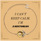 sunflower historian bracelet i cant keep calm history enthusiast gift for christmas birthday graduation inspirational jewelry for historians passionate about the past