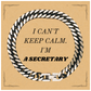Secretary Cuban Link Chain Bracelet - I Cant Keep Calm, Confidence, Unique Gift for Birthday, Christmas