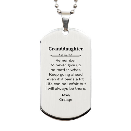 granddaughter motivational gifts from gramps remember to never give up no matter what inspirational birthday silver dog tag for granddaughter