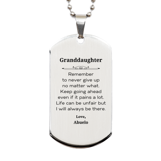 granddaughter motivational gifts from abuelo remember to never give up no matter what inspirational birthday silver dog tag for granddaughter